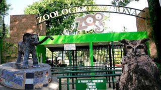 Zoologico Nacional de El Salvador  2019 [upl. by Elleiram]