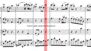 BWV 1047  Brandenburg Concerto No2 Scrolling [upl. by Jezrdna]