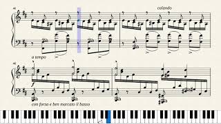 Henselt Etude Caractéristique Op 2 No 3 in B Minor Piano Tutorial  Sheets [upl. by Donny]