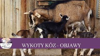 30 Wykoty kóz objawy porodu kozy [upl. by Nnaegroeg]