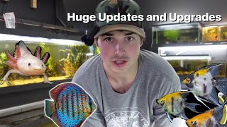 Fish Room Updates and Upgrades [upl. by Vivie731]