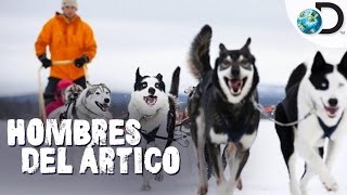 ¡La mayor competencia de trineos con perros  Hombres del Ártico l Discovery Latinoamérica [upl. by Tull209]