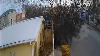 Video captures flock of birds suddenly falling from the sky in Mexico [upl. by Junina]