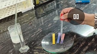 Calcium Oxide reacts with water  Calcium Hydroxide Lime Water  CBSE science experiment [upl. by Hathcock615]