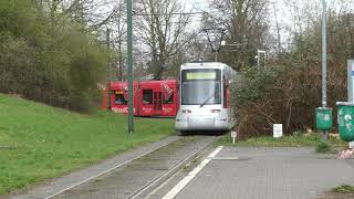 Rheinbahn NF8U an der Endhaltestelle Düsseldorf Uni OstBotanischer Garten Wendeschleife [upl. by Hoo428]