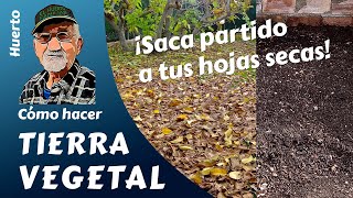 𝗧𝗜𝗘𝗥𝗥𝗔 𝗩𝗘𝗚𝗘𝗧𝗔𝗟 CÓMO HACER TIERRA VEGETAL [upl. by Iveel]