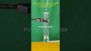 Lead Nitrate Potassium Iodide  Double Displacement Reaction experiment shortvideos [upl. by Desimone155]