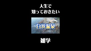 白浜温泉の意外な雑学歴史 観光 雑学 温泉 旅行 [upl. by Genesia]