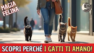 PERCHÉ I GATTI TI SCELGONO Scopri 10 Segreti che Li Attirano a Te [upl. by Ahsimik]