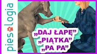 quotDaj Łapęquot quotPiątkaquot quotPa Paquot [upl. by Abeu]