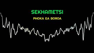 SEKHAMETSI Visualizer PHOKA EA BOROA ft Why DE [upl. by Westfahl]