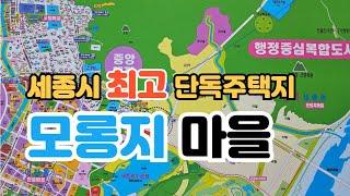 세종시 최고입지 단독주택지 quot모롱지 마을 분양quot은 언제하나 [upl. by Marra]