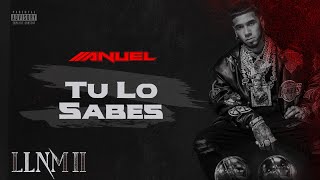 Anuel AA  Tu Lo Sabes Visualizer Oficial  LLNM2 [upl. by Tnecillim]