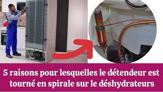 5 raisons pour lesquelles le détendeur capillaire est souvent enroulé en spirale sur le déshydrateur [upl. by Reinke849]