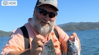 Chinook fishing at oroville with DK [upl. by Mita]