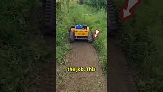 this man finds best Grass Trimmers machine shortsviral satisfying cars [upl. by Dick]