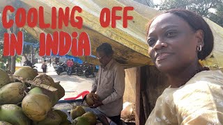 Cooling Off In India  Coconut Water [upl. by Mandel]