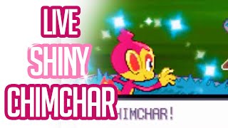 LIVE Shiny Chimchar full odds after 3963 SRS  Pokemon Platinum Shiny Reaction  DTQ 1 [upl. by Eiramit]