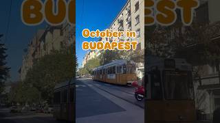 October in Budapest budapest october budapeşte [upl. by Teahan]