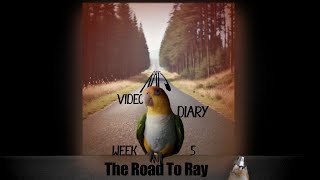 Rays Diary 5 The Road To Ray [upl. by Nagah]