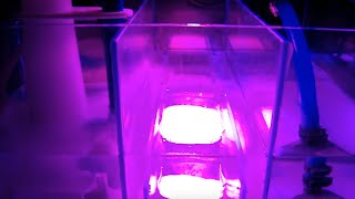 50Gallon Cube Reef Aquarium Series Part 6  Sump Overview [upl. by Hamrah]