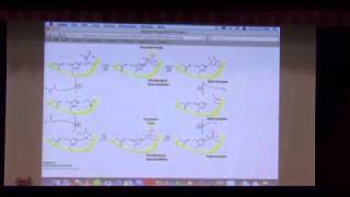 Catalytic Strategies [upl. by Khajeh480]