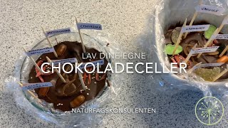 Cellechokolade  Lav modeller af plante og dyreceller med chokolade og slik [upl. by Thirzia]