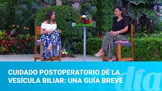 Cuidado postoperatorio de la vesícula biliar una guía breve [upl. by Murat]