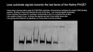 Native PAGE Polyacrylamide Gel Electrophoresis Troubleshooting [upl. by Hamner]