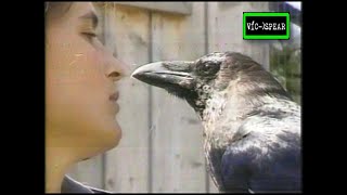 Si los Animales hablaran Enseñanza Práctica e Imitación  Documental 1998 Español Latino Ep 2 [upl. by Norred]