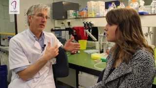 Interview Prof Dr Eelco de Koning  Eilandjestransplantatie [upl. by Yrogiarc]