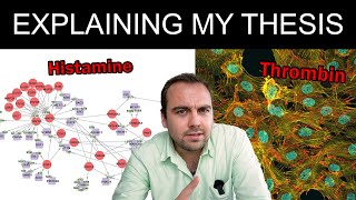 Explaining my thesis  Hemostaticendothelial signaling [upl. by Annej]