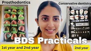 BDS practical work explained  1st and 2nd year [upl. by Mccord]