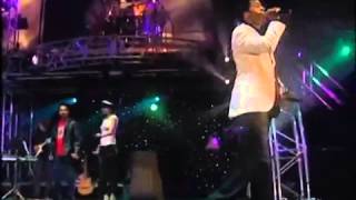 Luis Fonsi  Te Vas En Vivo [upl. by Erlewine397]