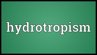 Hydrotropism Meaning [upl. by Yellhsa]