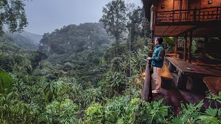 Living in a Treehouse CHIANG MAI 🇹🇭 A Magical Thailand Escape [upl. by Akinoj]