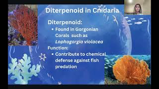 The Anticancer Potential of Phylum Porifera Cnidaria and Chordata [upl. by Annamaria30]