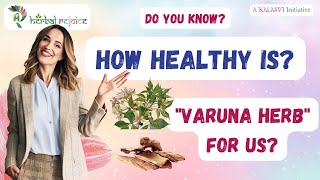 Varuna Bark  Ayurvedic Solution for Kidney and Bladder Health infection kidneystones [upl. by Nyra]