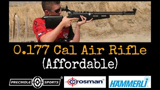 0177 Cal Air Rifle Affordable [upl. by Julis468]