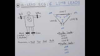 ECG Basics  12Lead ECG  Leads and Electrodes  Limb and Chest Precordial Leads [upl. by Annam]