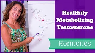 Healthily Metabolizing Testosterone [upl. by Tigdirb]