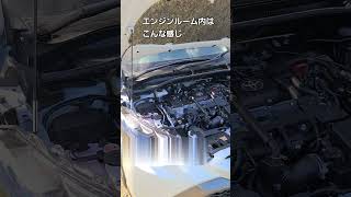 カローラクロスのホーンをレクサスホーンに交換、そしてエンジンルームを拝見LEXUSTOYOTACOROLLASUV自動車トヨタクラクションボンネットHYBRIDハイブリッドZ [upl. by Fevre]