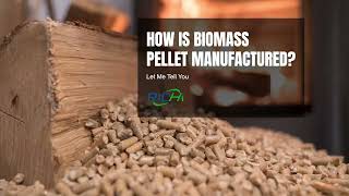 How to make biomass pellets  How to make wood sawdust pellets by wood biomass pellet mill [upl. by Eiba768]