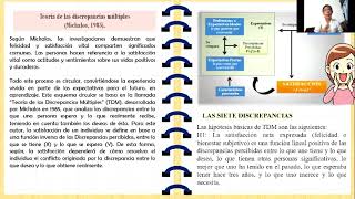 Teorías del Bienestar subjetivo [upl. by Erine]