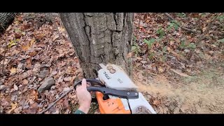 Stihl MS 271 Chainsaw Review After 2 Years [upl. by Wilscam]