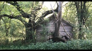 Exploring An Abandoned Homesite  This Is All It Is [upl. by Leeke]