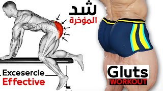 7 Best Exercise Glute Workout [upl. by Anilag]