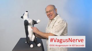 Pawsitive Energy Flow Acupressure Tip to Boost Your Dogs Vagus Nerve [upl. by Enelrahs]