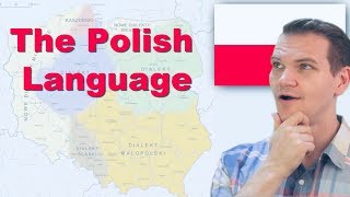 The Polish Language Is this real [upl. by Elleirad421]