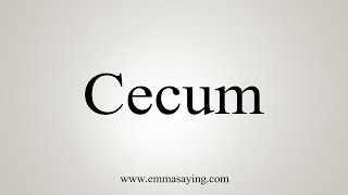 How To Say Cecum [upl. by Ezarras415]